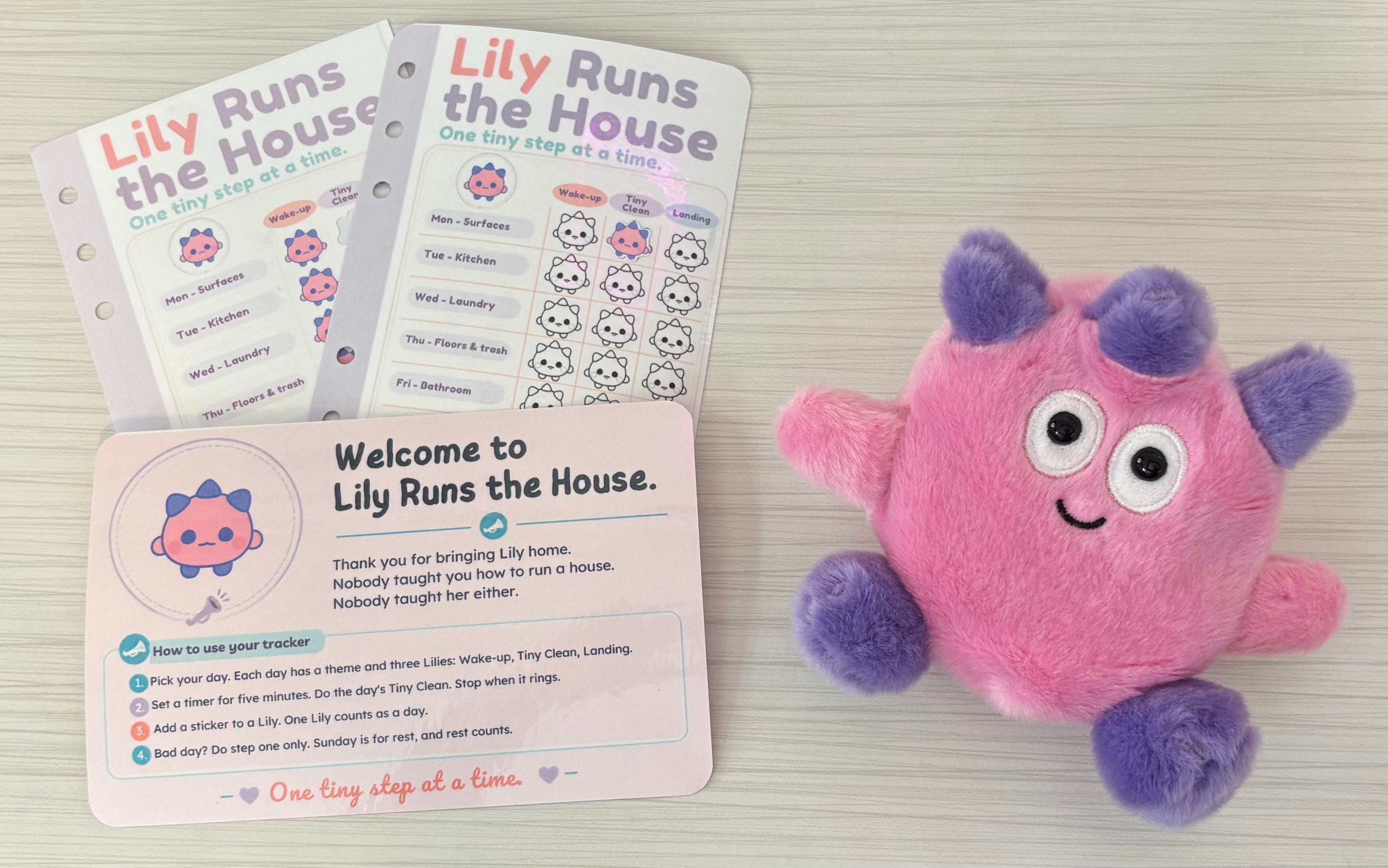 Lily Runs the House: Weekly Cleaning Tracker for Neurodivergent Brains
